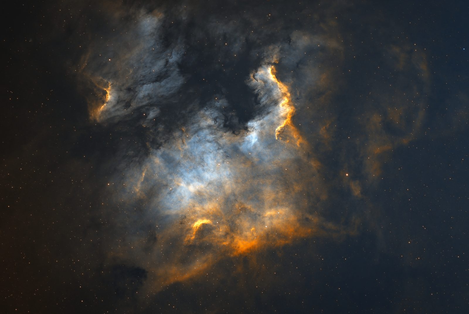 North America Nebula, NGC 7000, in the SHO palette: blue clouds with golden edges on a starfield